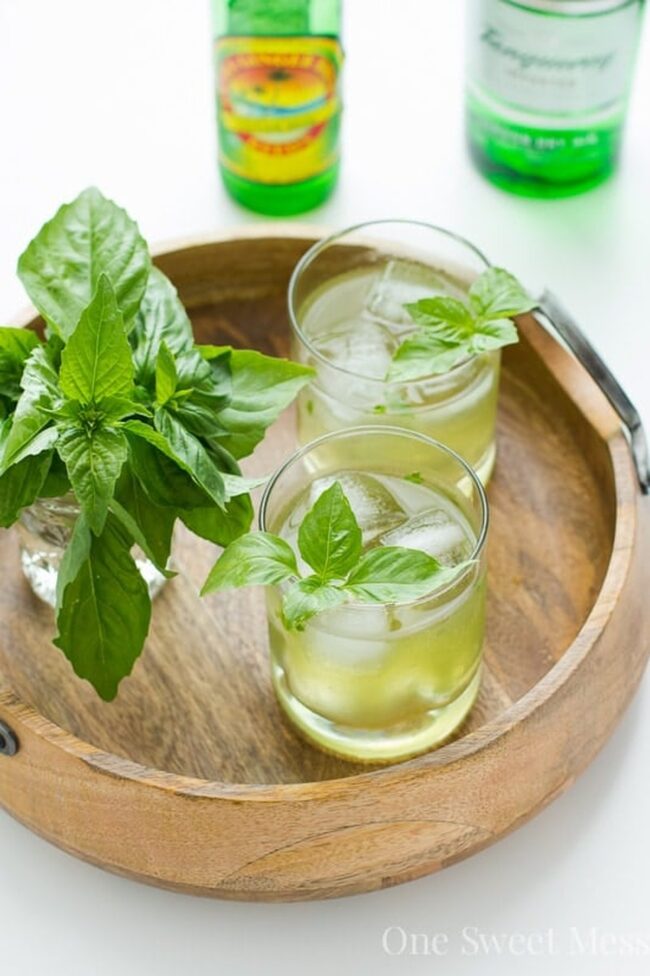 Ginger Ale Gin Fizz