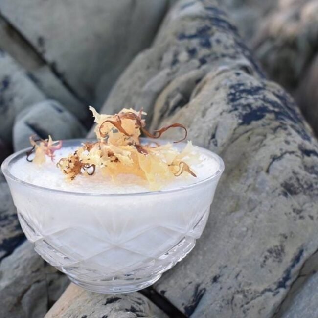 Carrageen Moss Pudding