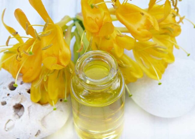 Why Some People Avoid Canola Oil