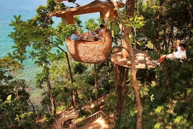Dinner in a Treehouse