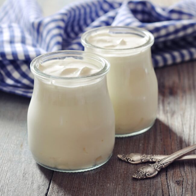 Greek Style Yogurt