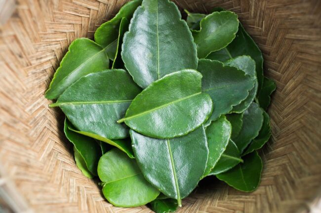 Kaffir lime leaves