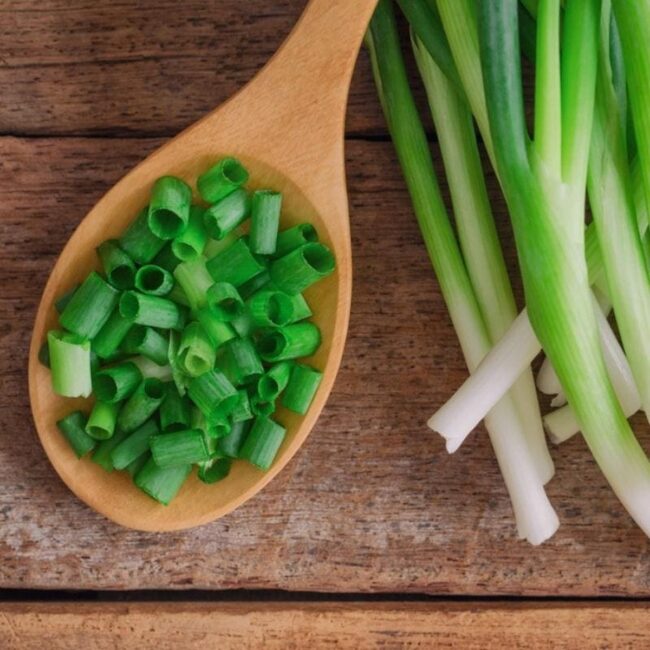 Scallions/Spring Onions