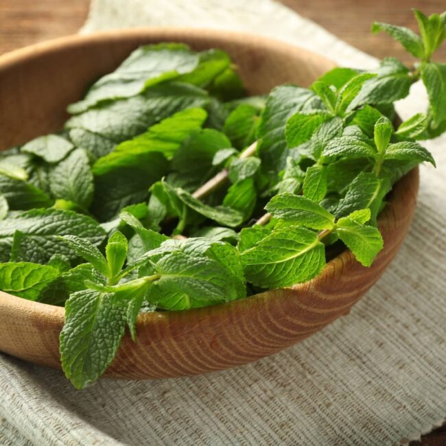 Lemon Balm
