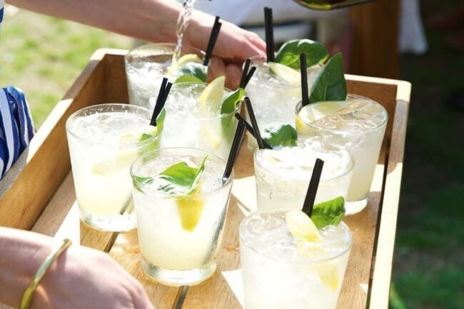 Lemon Basil Gin Spritz