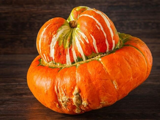 Honeynut squash