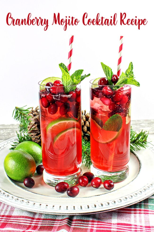 Cranberry Mojito