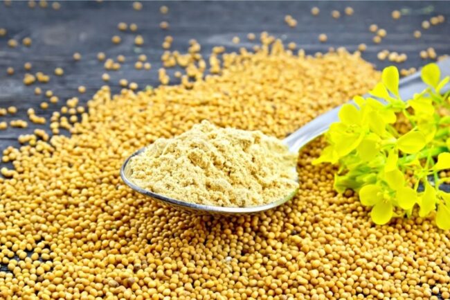 Mustard Powder