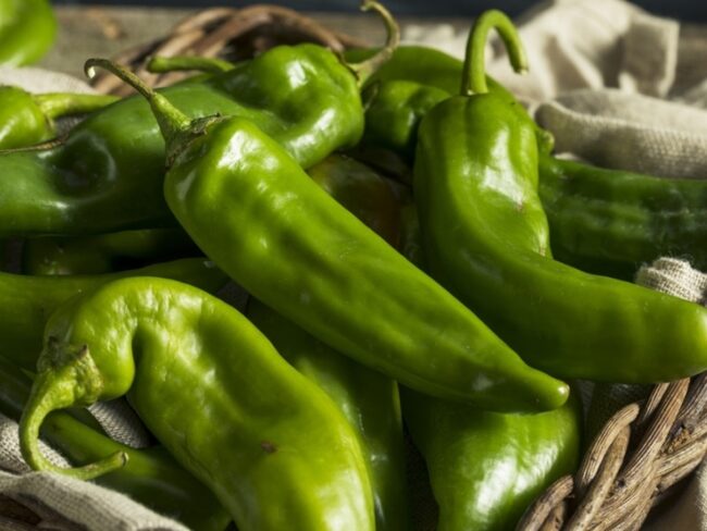 Poblano Peppers