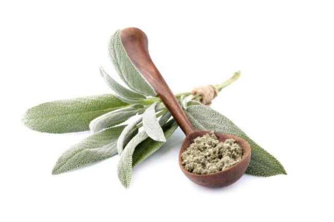 Sage