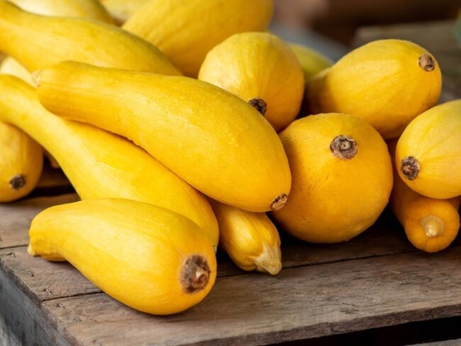 Yellow Squash
