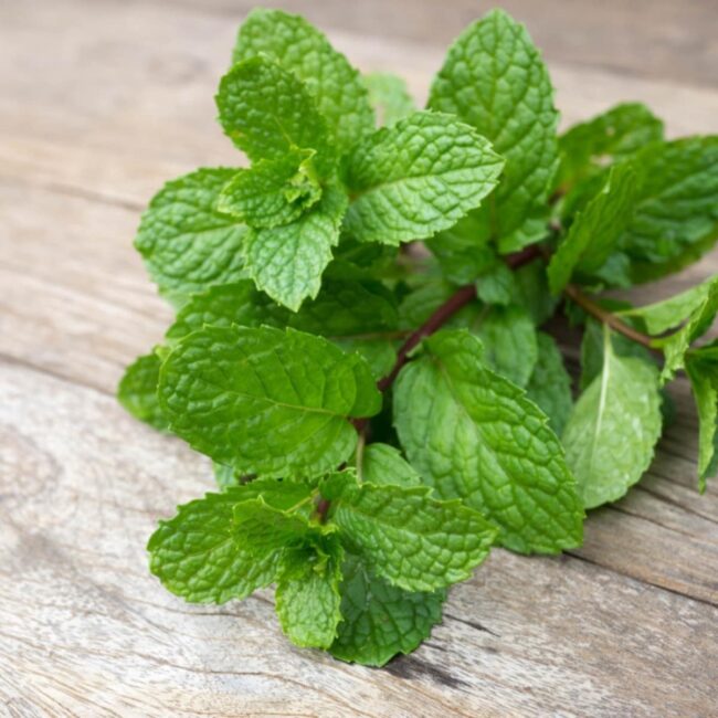 Natural Substitutes: Mint Leaves and Peppermint Leaves