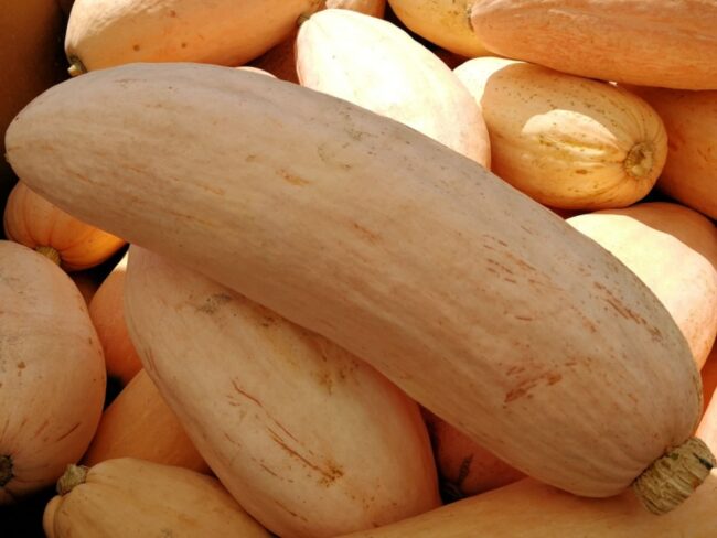 Banana squash