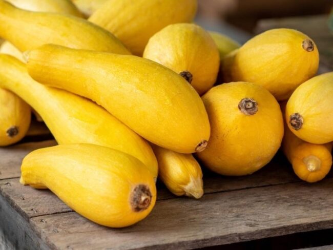 Patty Pan Squash