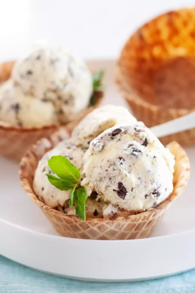 Mint Chocolate Chip Ice Cream