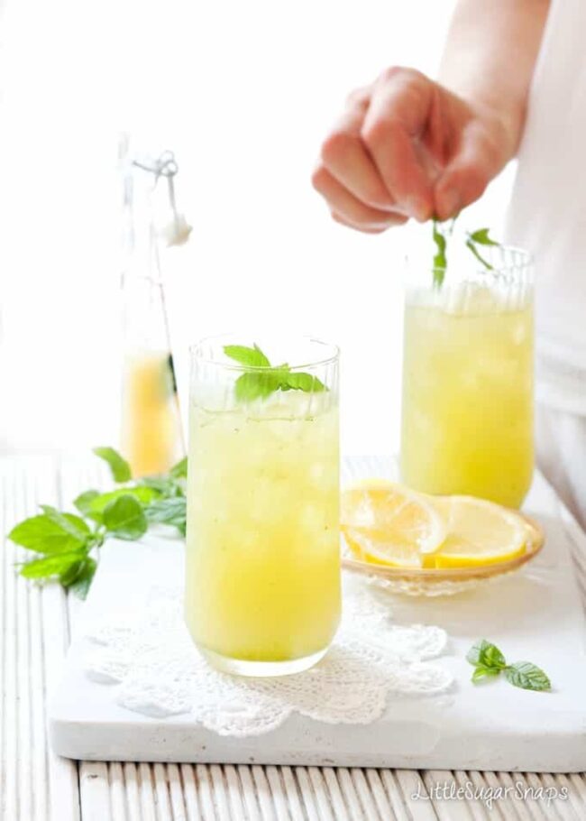 Citrus and Mint Cooler