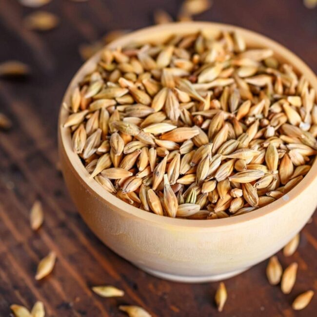Barley