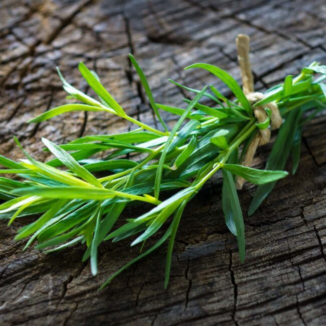 Parsley and Tarragon Herbs