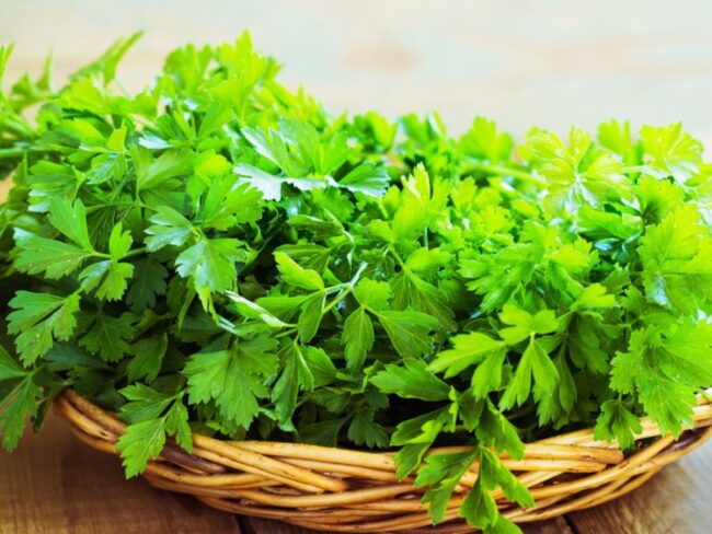 Basil and Parsley