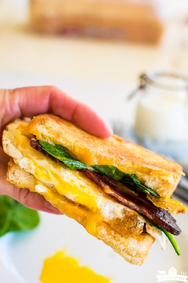 Egg and Cheese Breakfast Sandwich