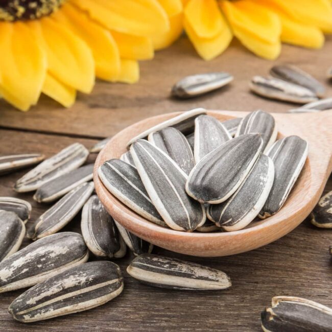 Seed and Nut Free Options
