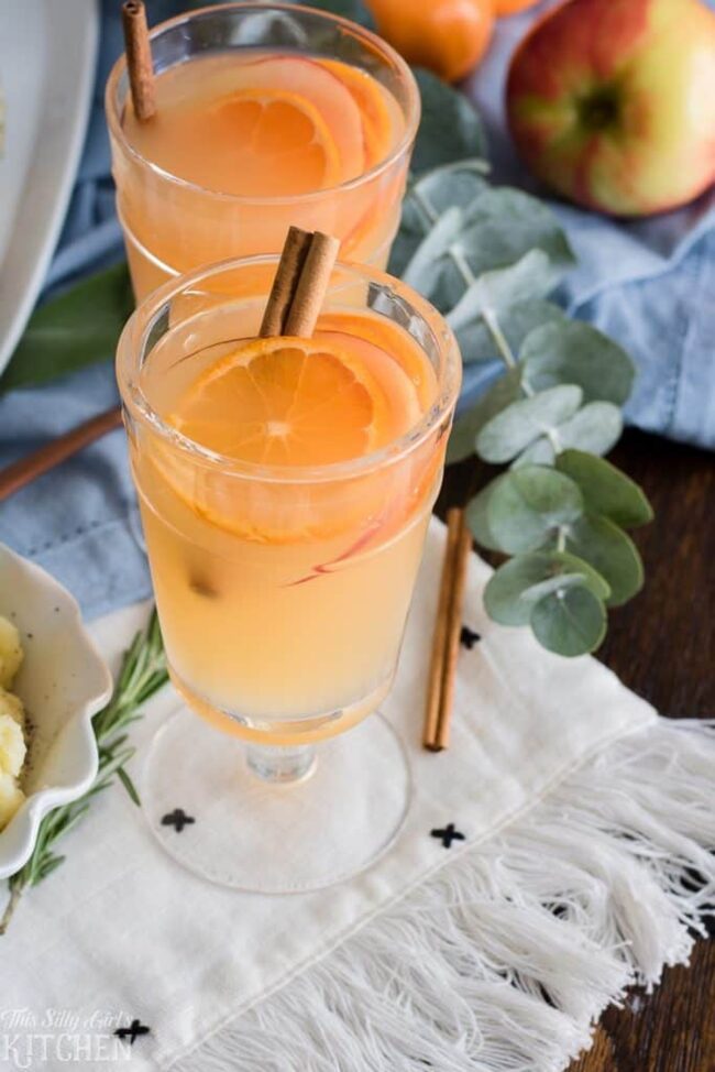 Hot Apple Cider Rum Punch