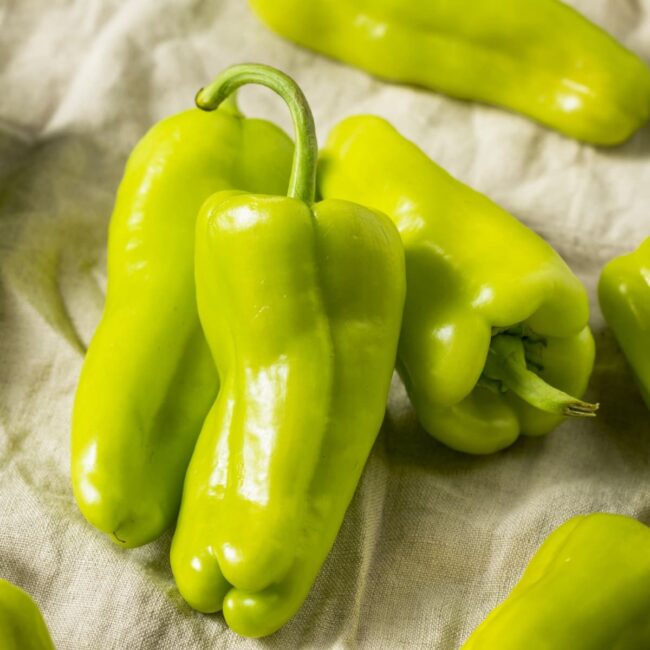Cubanelle Peppers