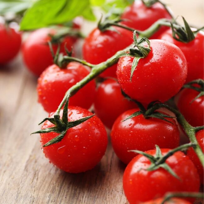 Fresh Tomatoes