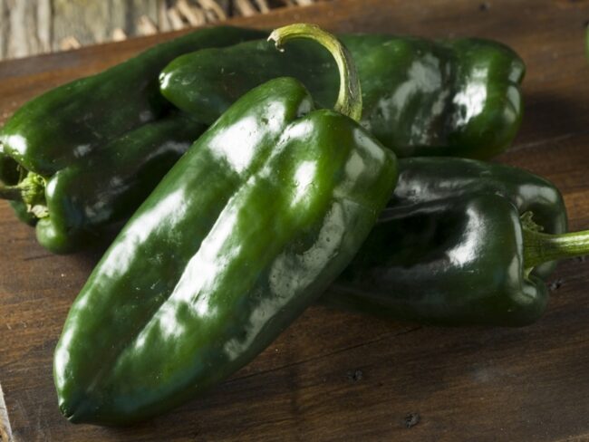 Jalapeño Peppers