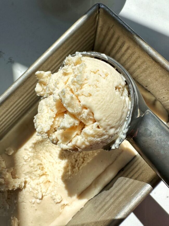 Cottage Cheese Ice Cream