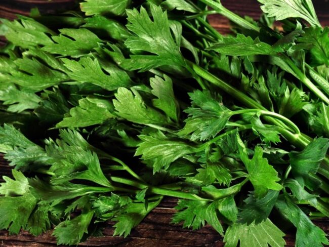 Fresh Celery
