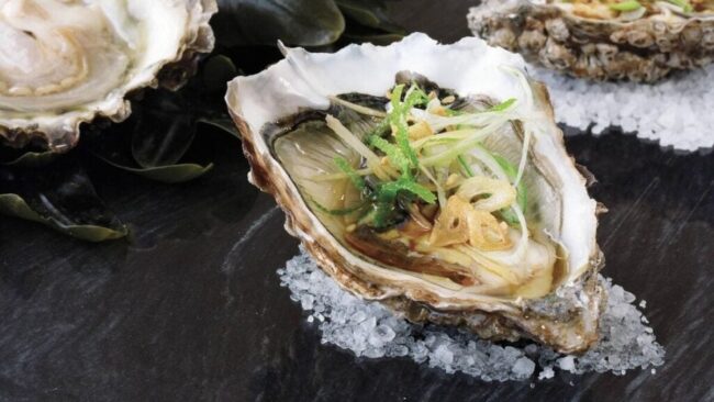Galway Oysters